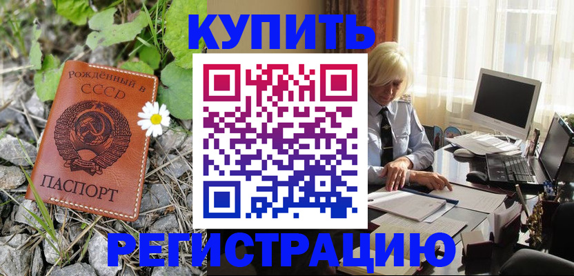 временная регистрация поиск в Алейске